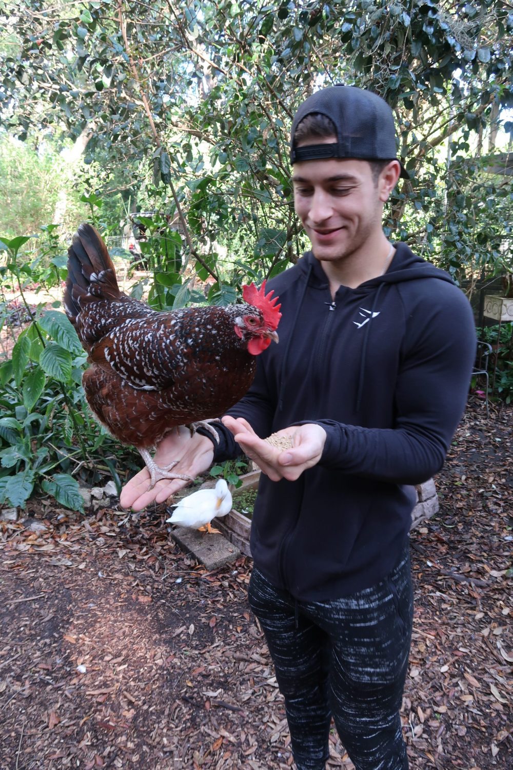 How to Prevent Injuries on the Homestead